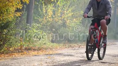 骑自行车的人在森林里经过. 骑自行车的人骑着自行车经过森林